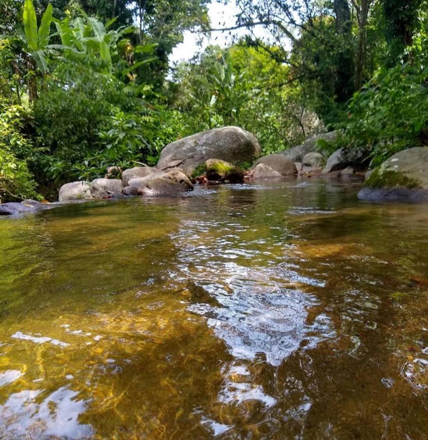 Girassol * Rio de Janeiro